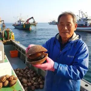 국내산 여수 검정새조개 당일조업 자연산 200g