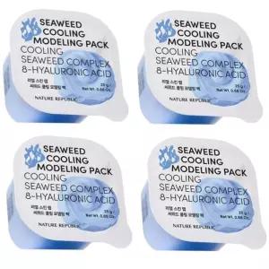 네이처리퍼블릭 모델링팩 석고 리얼스킨랩 씨위드 4개