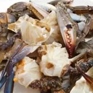 국내산 절단 암꽃게 냉동 2KG 급냉암꽃게 급냉절단꽃게