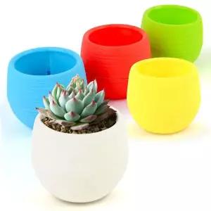 가벼운 미니 원형 화분 인테리어 다육이 선인장 모종 분갈이화분