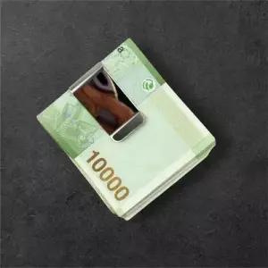 WL 실버 메탈 머니클립 지폐클립 지폐보관 WFLMQ6N