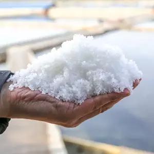 [10%다운쿠폰]24년 햇소금 천일염 20kg