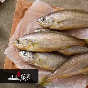 제주 참조기 5마리 (1마리당 120g이상)