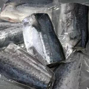 제주 삼치살 왕특대 4팩 (총 2kg이상) 1팩당 2토막 (팩당 500g이상)