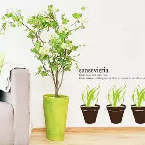 산세베리아 포인트그래픽스티커 시트지 벽지 W013895