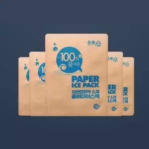 CQ 종이 아이스팩 - 소 12x17  10개 WFITY58