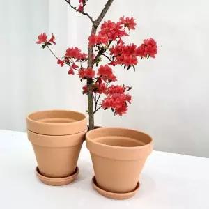 [콩심팥심]13x11cm 엔티크 베하몰 토분 3개셋트 표준형 독일