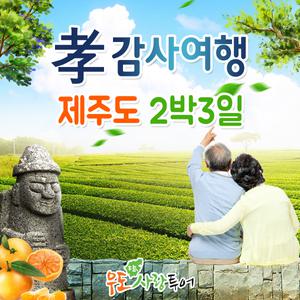 제주도여행/효도여행/고품격/버스패키지/2박3일/우도사랑투어