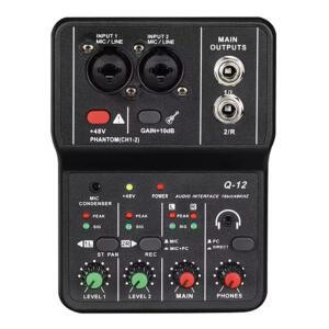 2채널 전문 휴대용 오디오 인터페이스 사운드 카드 콘솔 기타 녹음 스튜디오 노래 Q12 용 미니 USB 믹서