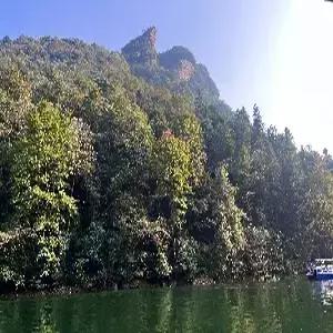 [선착순 8명한정 룸당과일바구니]장가계/원가계 5일 #다드림 #장가계 최고의 럭셔리 5성호텔 #1:1 프리미엄 리무진버스 #BBQ푸드트럭 #포토북 #특식4회