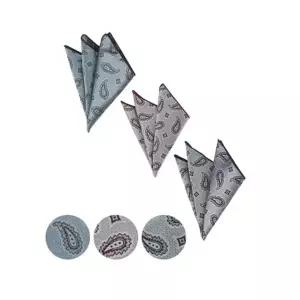 행커치프 알렉산더 페이즐리 실크 남성 포켓