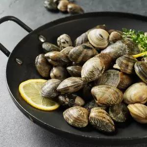 황도수산 국내산 중국산(특대) 해감된 칼국수용 바지락 10kg