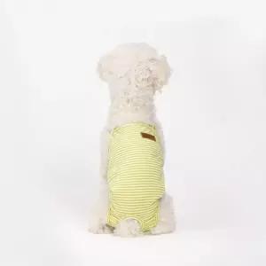 위생팬티 강아지 기저귀 및 생리대 속옷 사이트 점 배송 용품 애견 사료 캠핑