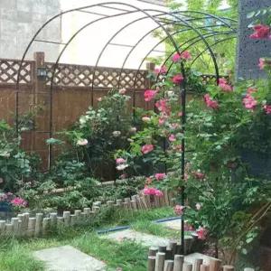 포도 넝쿨 식물 장미 대형 식물지지대 높이 인공 지지대