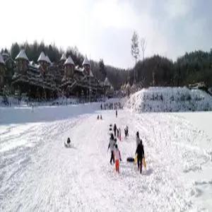 [강원] 평창 숲속의요정(강원, 평창)