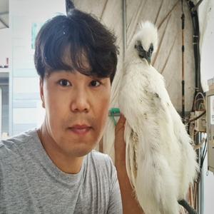 한국인의 밥상이 인정한  계룡산 오골계 생닭(1~1.5kg) 백숙재료(밤,대추,은행) 육수용 닭발 무료제공