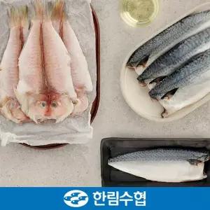 [한림수협][바로배송][제주 한림수협] 제주 옥돔&순살고등어 5호 혼합 옥돔 3미(180g x 3팩)+고등어 10...
