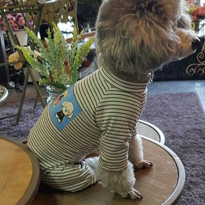 코코스튜디오 강아지옷 스트라이프 반폴라 올인원