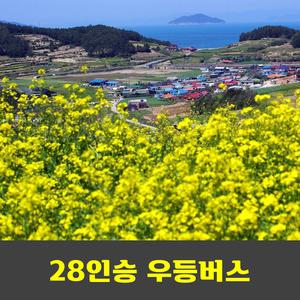청산도 유채꽃 슬로걷기축제  안내산악회