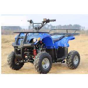 사륜 바이크 짐 운반 사발이 농업용 레저용 오토바이