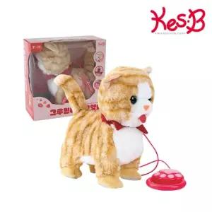 플레이 그루밍하는고양이 2736)