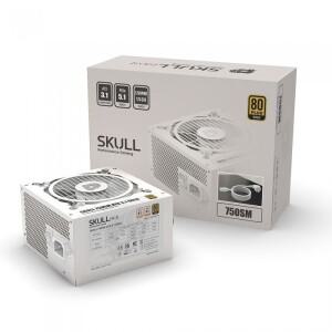 NEWZEN SKULL 750SM 모듈러 ATX3.1 80PLUS 골드 화이트