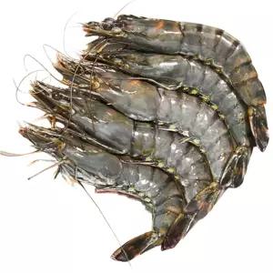 어부백서 냉동 블랙타이거새우 10미 20미 500g