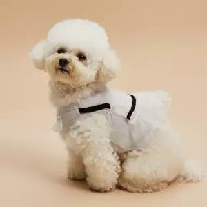 [롯데백화점]루이독 그레이지 슬리브리스 TUTU