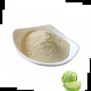 한방농축분말 양배추추출분말 100g