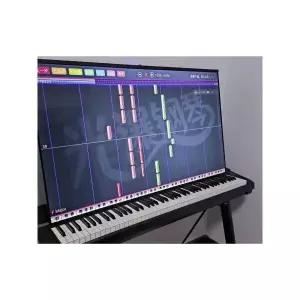 타미아노 88건반 타미아노피아노 교육용 가정용 피아노 디지털피아노