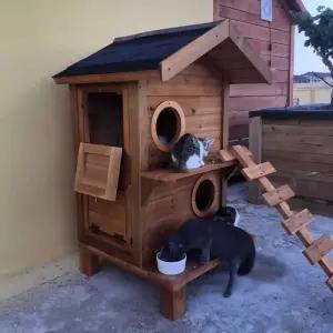 야외 고양이집 실외 2층 하우스 놀이터 길냥이