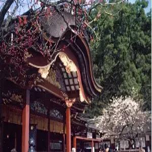 규슈 3일 #럭셔리스기노이 리조트 숙박 #4성급 후쿠오카 호텔 숙박 #다자이후+유후+벳부 #가기팁 포함 #품격미식여행