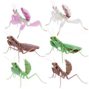 애벌레 거대 꼬임 모조 P4 도끼 생물대도감 곤충모형 큰칼 난초사마귀 실물 피규어