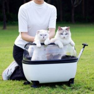투명 고양이 산책 유모차 반려동물 냥모차 경량 개모차