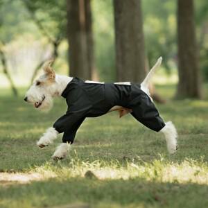 야외호환  애완동물 우비 강아지 풀 랩 투피스 세트 방수 레인 팬츠 바지 의류 캐주얼 스타일 BBGpet