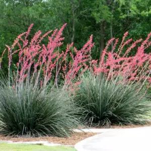 레드 유카 3치포트 레드유카