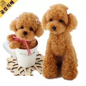 강아지 애착 푸들인형 동물 선물 집들이 테디 봉제 볼제 펫인형