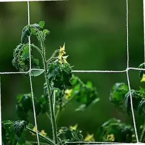 원예용 넝쿨식물 지지대 그물망 5m 국화 오이 지지망