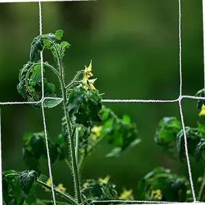 넝쿨식물 지지대 국화 원예용 오이 그물망 5m 식물