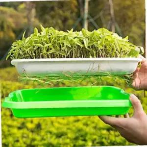 새싹 재배기 씨앗 가벼운