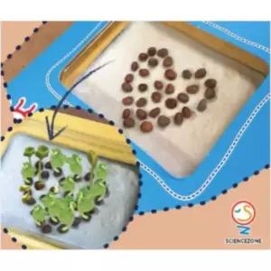 과학키트 씨앗카드5인용