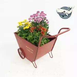 레드 수레 화분 인테리어 소품 미니어처 조화 WFH7ZVT