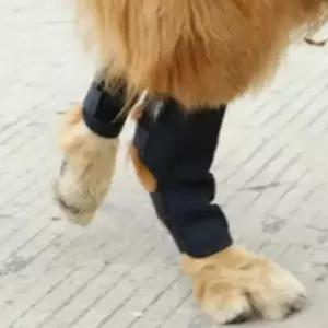 [셀러에이드]강아지 관절 슬개골 보호대 블랙 1P 무릎 보호 밴드