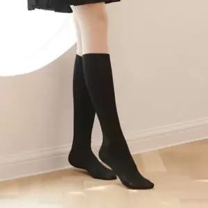 스타킹 겨울 타이즈 기모 학생 유발 팬티 투톤