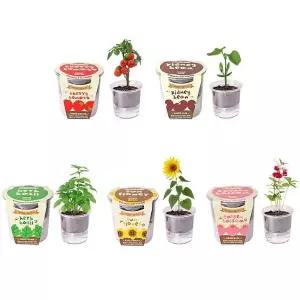 자동급수 5종 저면관수 식물재배기 화분 씨앗 세트 키우기쉬운식물