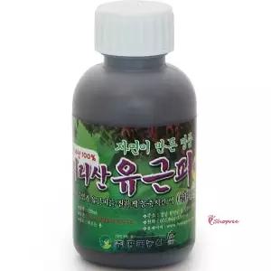 유근피액 지리산 농축액 껍질 느릅나무 유근피즙 진액 야생 자연산 엑기스opq810