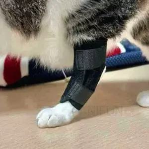 강아지 슬개골 보조기 중형 보호대 무릎 애견 안정기