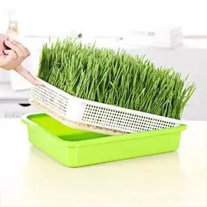 [콩심팥심]새싹 재배기 덮개 수경 재배 보온용 물받이 흙없는 식물