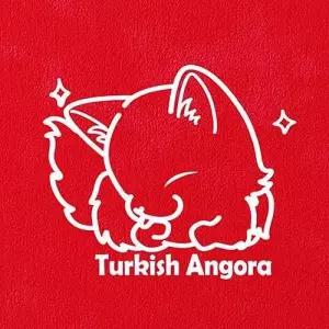 더캣츠 포인트그래픽스티커 고양이 애견샵 동물병원 W025634