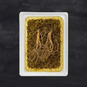 [자연삼가] 정품 프리미엄 산양삼 10-12년근/2뿌리